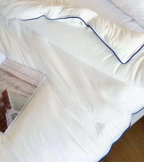 Mẫu ruột chăn đông Planet Sleep